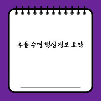 1b26bd78e7a28edbba037e46ecb04bfc.jpg