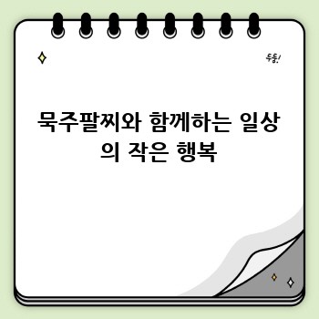 cd5b016771c90389e2fdb5096c650e62.jpg