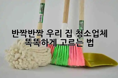 ✨ 반짝반짝 우리 집, 청소업체 똑똑하게 고르는 법 🏡