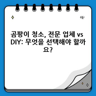 전북 김제시 죽산면 곰팡이 제거 및 청소 완벽 가이드: 깨끗한 공간 되찾기