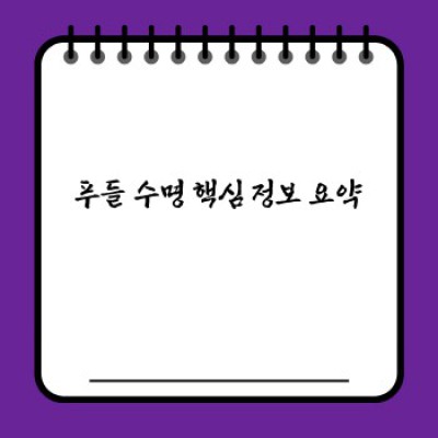 푸들 수명, 건강하게 오래 사는 비결은? 평균 수명과 영향 요인 완벽 가이드