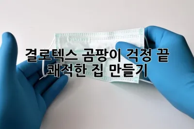 결로텍스: 곰팡이 걱정 끝! 쾌적한 집 만들기