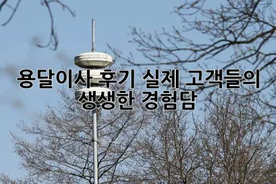 용달이사 후기: 실제 고객들의 생생한 경험담!
