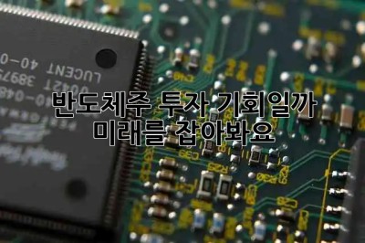 반도체주 투자, 기회일까? 🎢 미래를 잡아봐요!