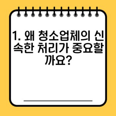 청소업체 선택 가이드: 신속하고 효율적인 청소 서비스 받는 방법