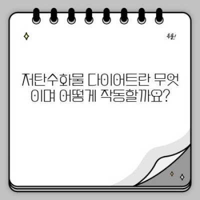 다이어트와 저탄수화물 식단: 완벽 가이드