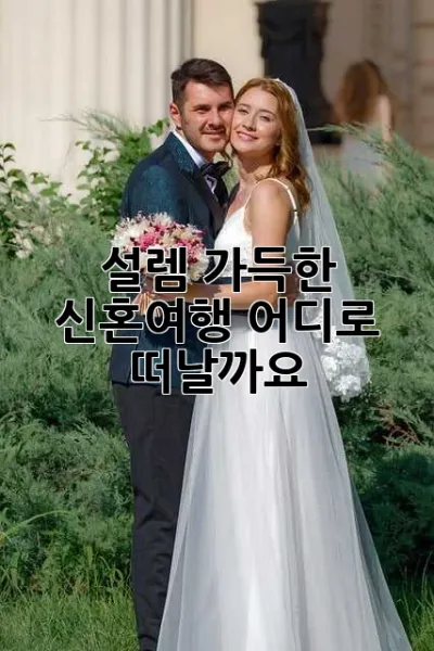 설렘 가득한 신혼여행, 어디로 떠날까요? ✨