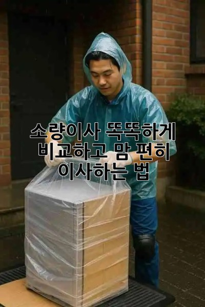 📦 소량이사, 똑똑하게 비교하고 맘 편히 이사하는 법 🚚