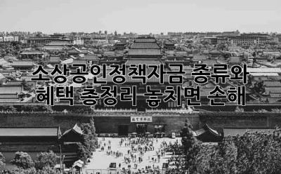 소상공인정책자금 종류와 혜택 총정리! 놓치면 손해 💰