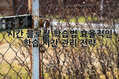 시간 블로킹 학습법: 효율적인 학습 시간 관리 전략
