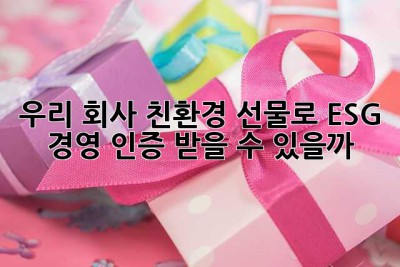우리 회사, 친환경 선물로 ESG 경영 인증 받을 수 있을까? 🤔