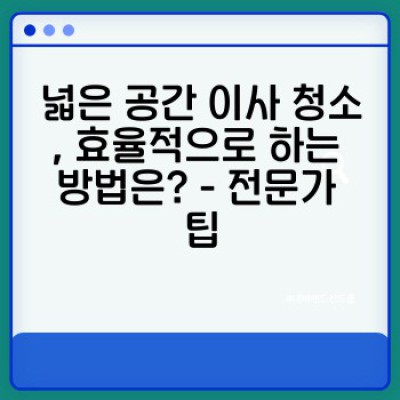 이사 청소 완벽 가이드: 넓은 공간 효율적인 청소 & 정리 전략