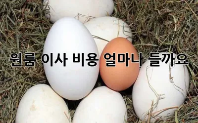 원룸 이사 비용, 얼마나 들까요?