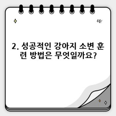 강아지 소변 훈련: 성공적인 배변 훈련 완벽 가이드
