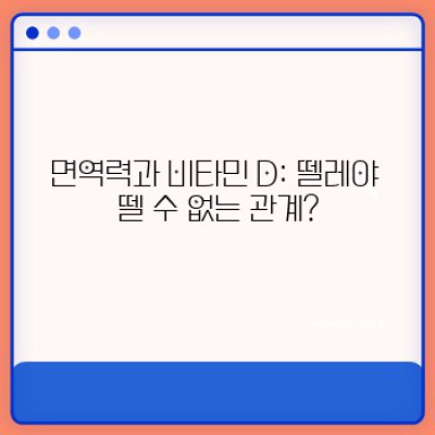 면역력 강화의 핵심, 비타민 D와 건강식품: 최신 정보 완벽 정리