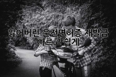 잃어버린 운전면허증? 재발급 빠르고 쉽게!