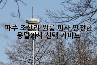 파주 조산리 원룸 이사, 안전한 용달이사 선택 가이드
