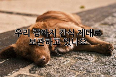 우리 강아지, 간식 제대로 보관하고 있나요?