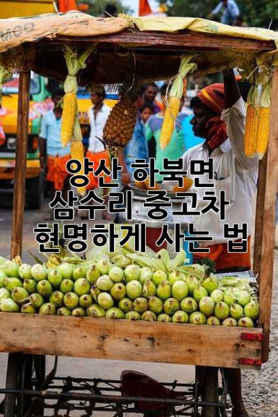 양산 하북면 삼수리 중고차, 현명하게 사는 법