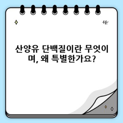 산양유 단백질: 소화, 면역, 그리고 건강한 삶을 위한 완벽한 선택? 궁금증 해결 및 사용 후기 총정리