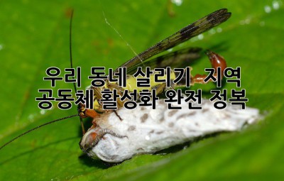 우리 동네 살리기! 🏘️ 지역 공동체 활성화 완전 정복