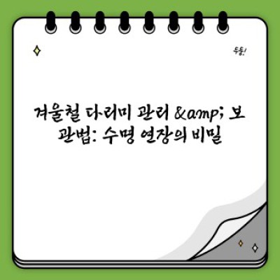 겨울철 다림질, 이제 걱정 끝! 완벽한 다림질 팁 & 주의사항 총정리