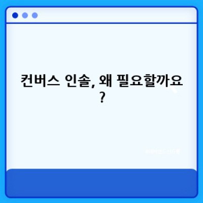 컨버스 인솔, 진실과 오해: 궁극의 편안함을 위한 선택 가이드