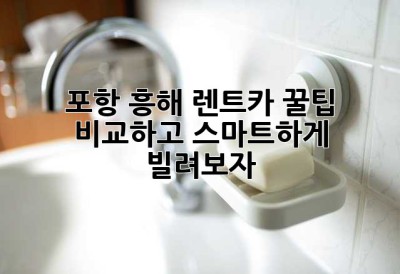 포항 흥해 렌트카 꿀팁🍯 비교하고 스마트하게 빌려보자!