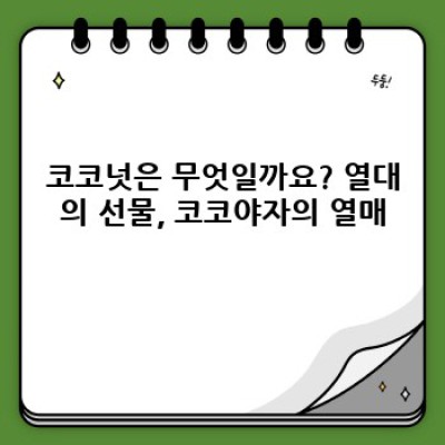 코코넛: 열대의 보물, 그 모든 것을 파헤쳐 보자!