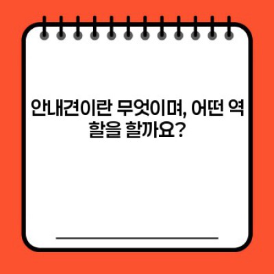 안내견이란 무엇일까요? 시각장애인과 안내견 파트너십의 모든 것