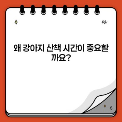강아지 산책 시간표 완벽 가이드: 댕댕이 행복, 견주 편리함 모두 잡는 방법!