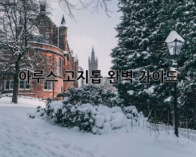 아루스 고지톱 완벽 가이드