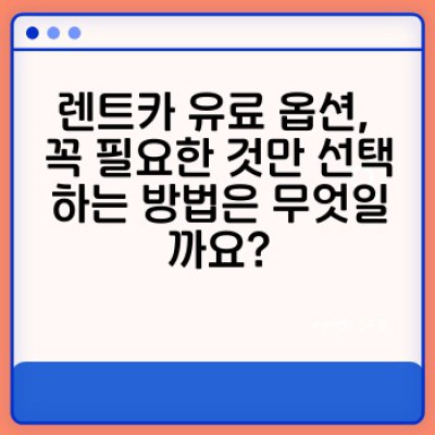 렌트카 유료 옵션 완벽 가이드: 추가 비용, 꼭 필요한가요?