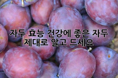 자두 효능: 건강에 좋은 자두, 제대로 알고 드세요!