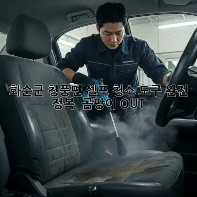 화순군 청풍면🏡 셀프 청소 도구 완전 정복! ✨ 곰팡이 OUT!