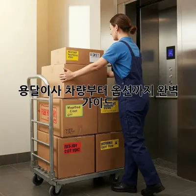 용달이사, 차량부터 옵션까지 완벽 가이드!