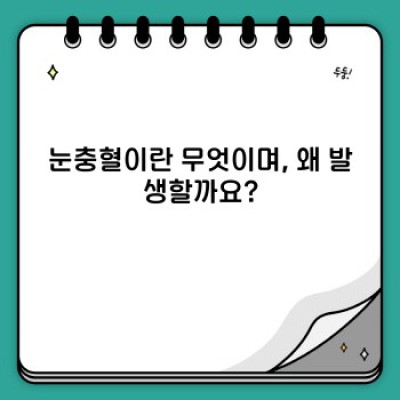 눈충혈 원인과 치료법 완벽 가이드: 빨갛고 충혈된 눈, 이젠 걱정 끝!