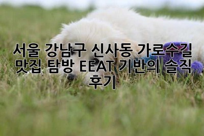 서울 강남구 신사동 가로수길 맛집 탐방: EEAT 기반의 솔직 후기