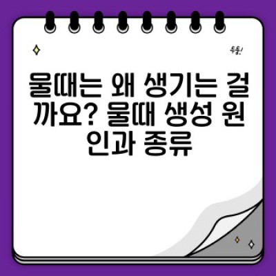 물때, 얼룩, 이젠 안녕!  전문가가 알려주는 물때 제거 청소 완벽 가이드