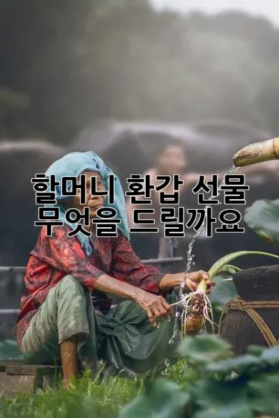 할머니 환갑 선물, 무엇을 드릴까요? 💖